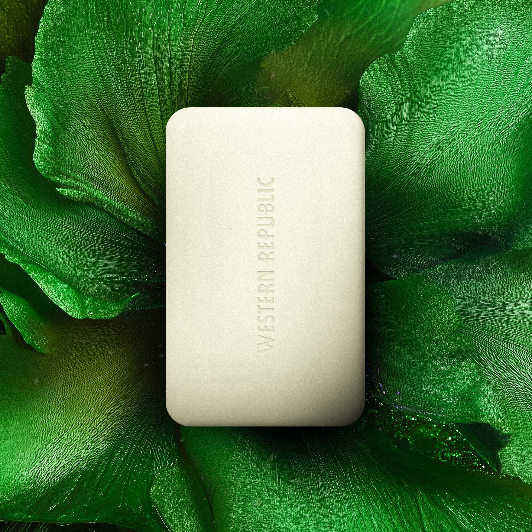 Soap Bar Double Scent Starter Kit